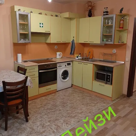 дейзи * Varna
