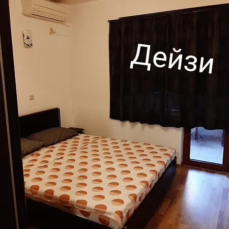 дейзи * Varna